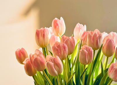 Flower Designer